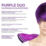 VIVID PURPLE HEALTHY COLOR DUO - Celeb Luxury