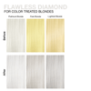 FLAWLESS DIAMOND PLATINUM BLONDE® COLORWASH 25 fl. oz. - Celeb Luxury
