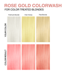 PASTEL ROSE GOLD HEALTHY COLOR DUO - Celeb Luxury