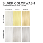 PASTEL SILVER HEALTHY COLOR BUNDLE - Celeb Luxury