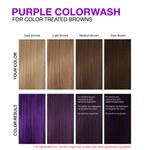 VIVID PURPLE HEALTHY COLOR BUNDLE - Celeb Luxury