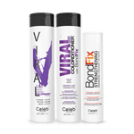 VIVID PURPLE HEALTHY COLOR BUNDLE - Celeb Luxury